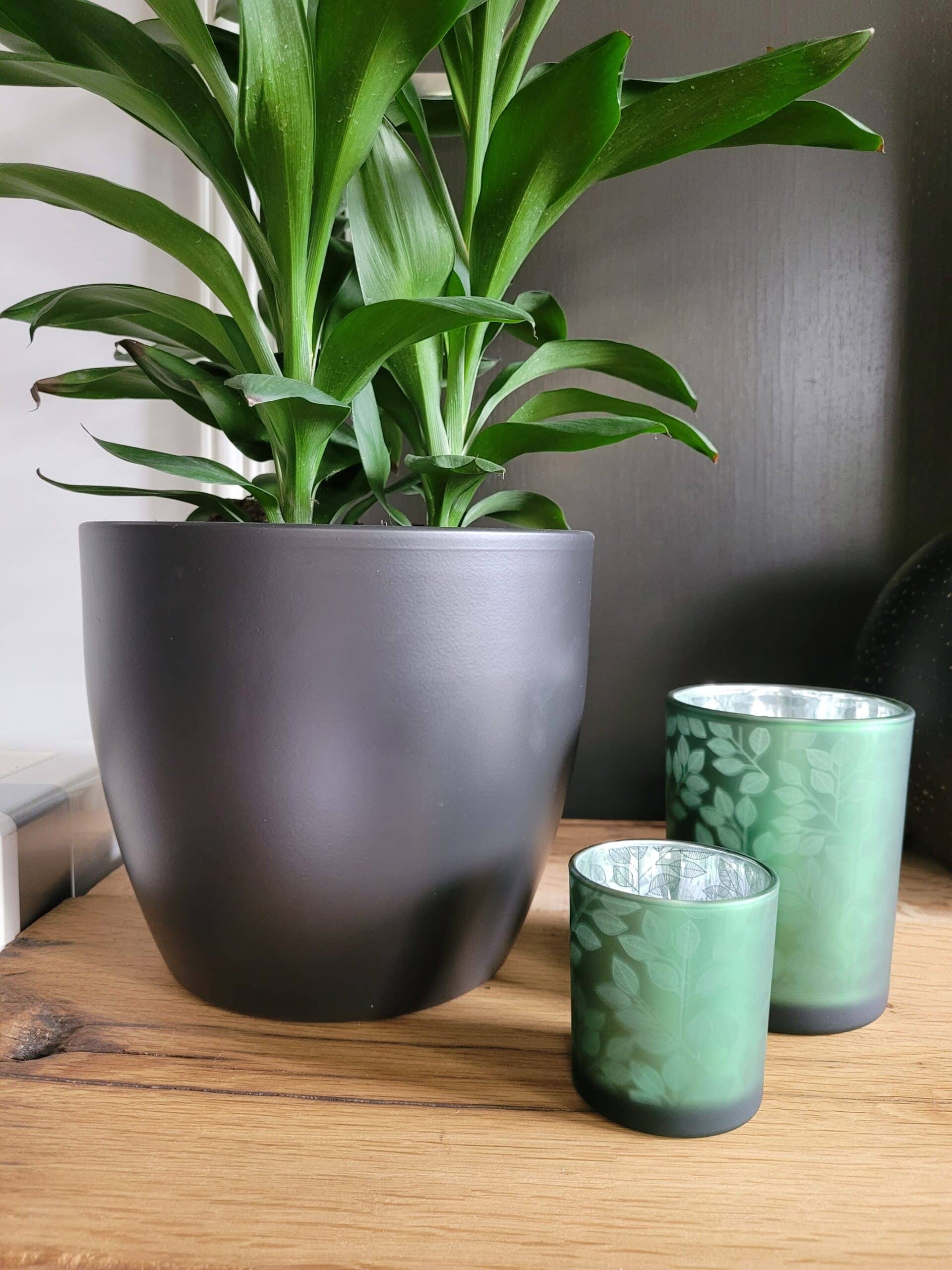 Spant7 - Set Waxinehouders - Glas - Groen - Bladmotief - 8 en 12,5 cm hoog - Afbeelding 2