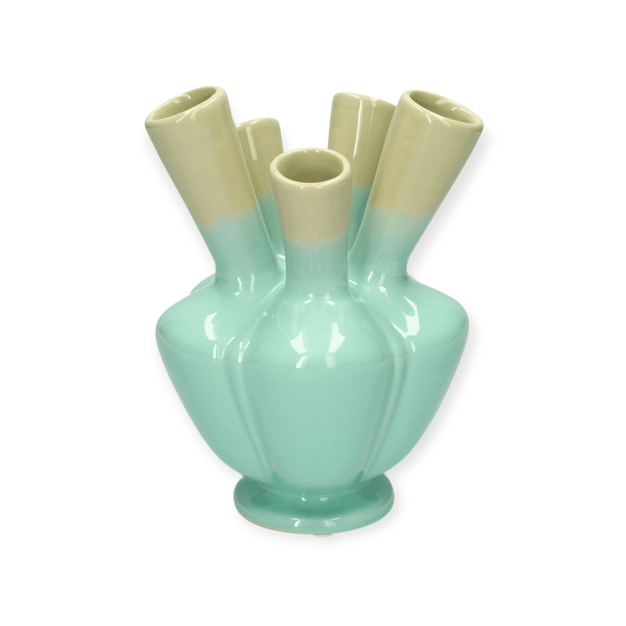 Plume - Tulpenvaas - Bloemenvaas - Vaas - Groen/Blauw - 17x13cm