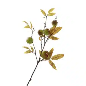 Daan Kromhoud - Kunsttak - Kastanje - Chestnut - 97cm