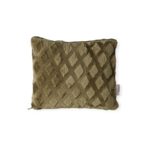 Boltze – 2-in-1 - Deken & Kussen - Plaid - Pluche - Groen - 125 x 160 cm - Polyester