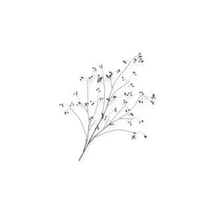 Daan Kromhout - Kunsttak - Besjes - Paars - Silk Berry - Bessentak - 135 cm -